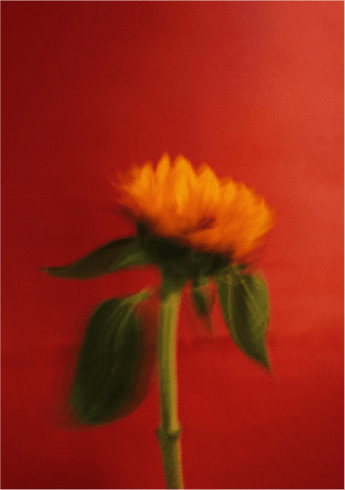 art-2 art-2